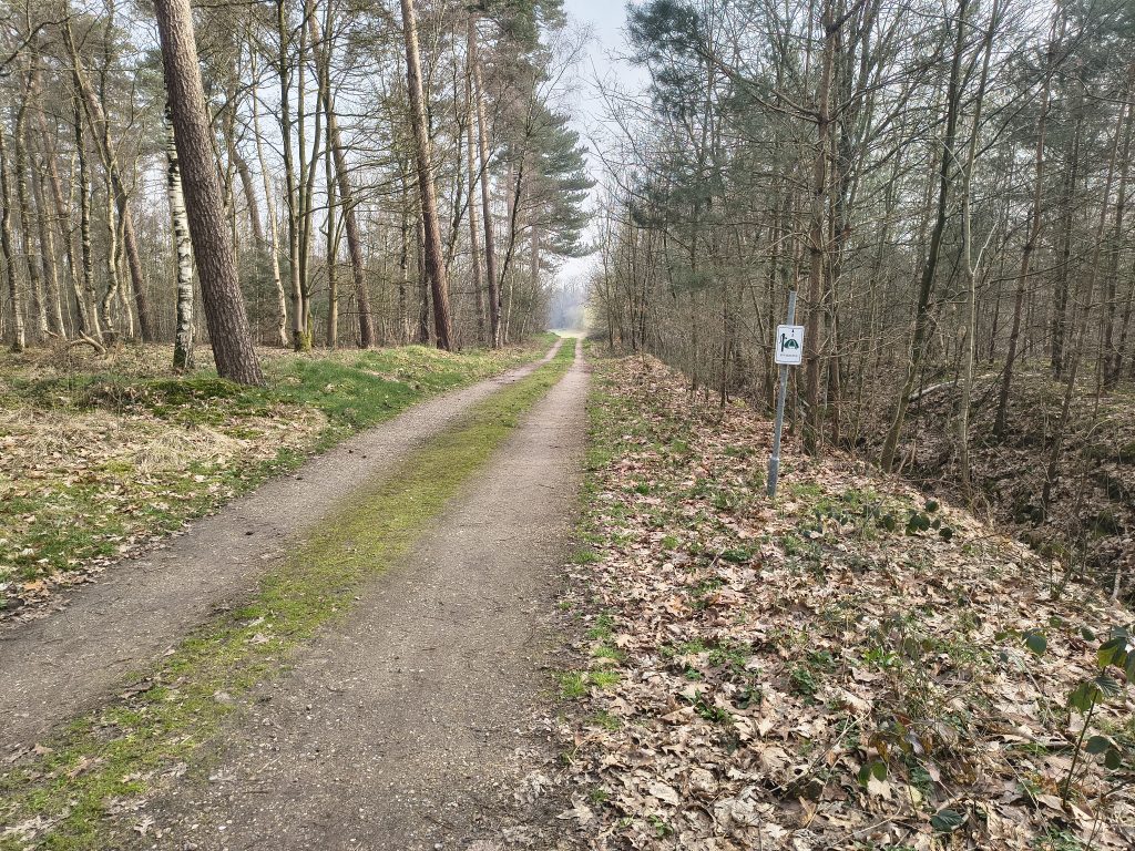 img 20260307 155825821 hdr