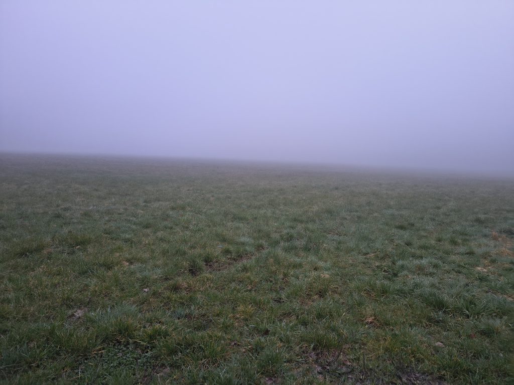 img 20260308 072504752 hdr